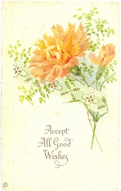 Accept all Good Wishes - Carey's Emporium