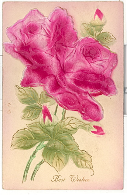 Best Wishes - Carey's Emporium