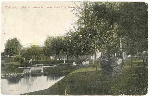 Pond No. 2 at Fish Hatchery, near Reed City, MI - Carey's Emporium
