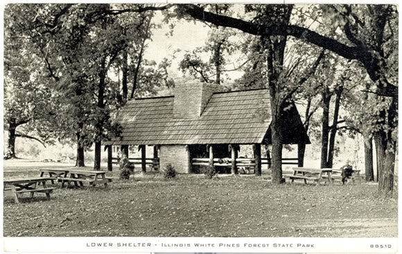 Lower Shelter, Illinois White Pines Forest State Park, IL - Carey's Emporium
