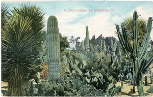 Cactus Garden, Riverside, CA - Carey's Emporium