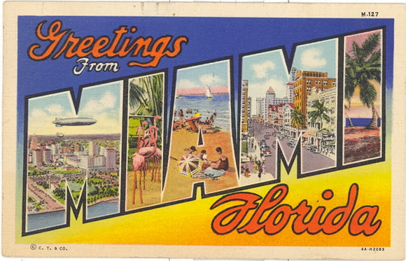 Greetings From Miami, FL Large Letter - Carey's Emporium