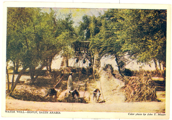 Water Well, Hofuf, Saudi Arabia - Carey's Emporium