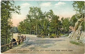 English Drive, North of Bridge, East Rock Park, New Haven, CT - Carey's Emporium