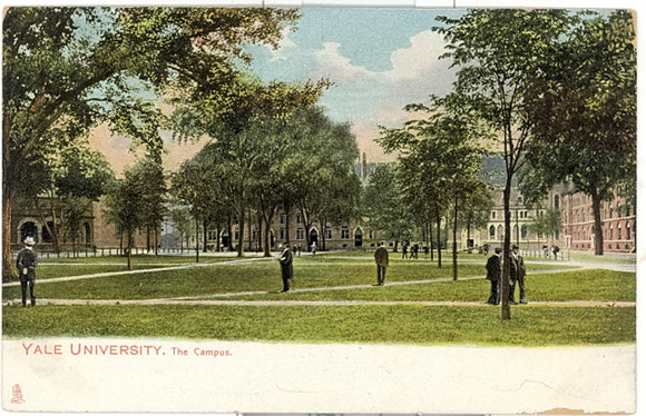 The Campus, Yale University - Carey's Emporium