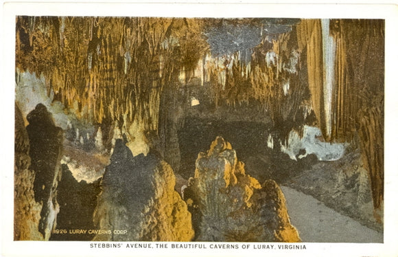 Stebbins' Avenue, The Beautiful Caverns of Luray, VA - Carey's Emporium