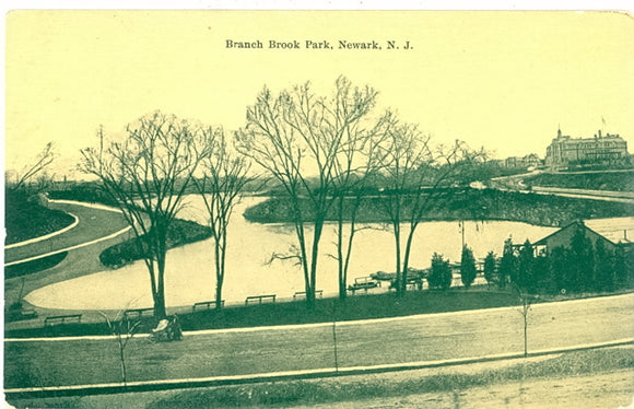 Branch Brook Park, Newark, NJ - Carey's Emporium