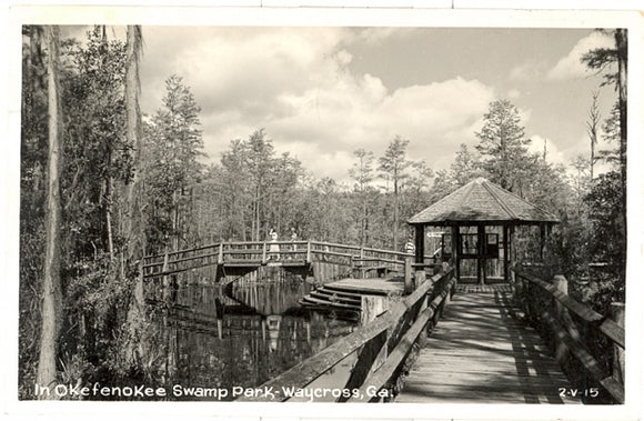 In Okefenokee Swamp Park, Waycross, GA - Carey's Emporium