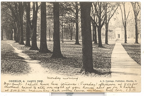 Campus View, Oberlin, OH - Carey's Emporium