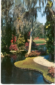 Cypress Gardens, FL - Carey's Emporium