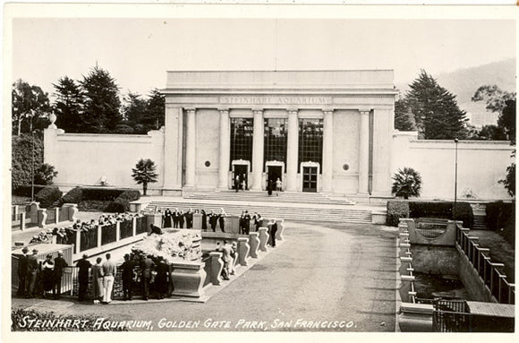 Steinhart Aquarium, Golden Gate Park, San Francisco, CA - Carey's Emporium