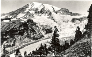 Where Flowers and Glaciers Meet, Rainier Nat'l Park - Carey's Emporium