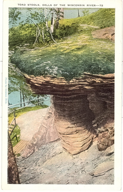 Toad Stools, Dells of the Wisconsin River, WI - Carey's Emporium