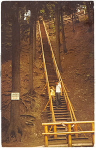 Jacob's Ladder, Victoria Park, Truro, Nova Scotia - Carey's Emporium