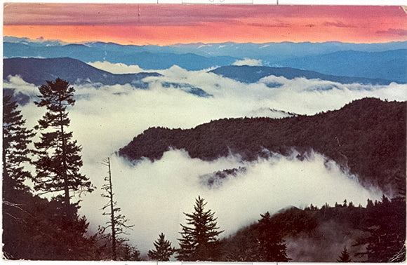 Above the Clouds at Sunrise, Great Smoky Mountains National Park - Carey's Emporium
