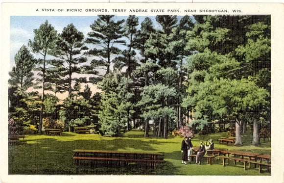 A Vista of Picnic Grounds, Terry Andrae State Park, Near Sheboygan, WI - Carey's Emporium