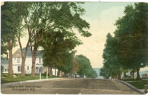 Niagara Ave. Looking East, Sheboygan, WI - Carey's Emporium