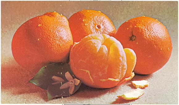 Red Mineola Tangelos, Jupiter, FL - Carey's Emporium