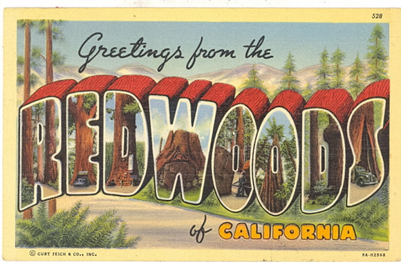 Greetings from the Redwoods of California Large Letter - Carey's Emporium