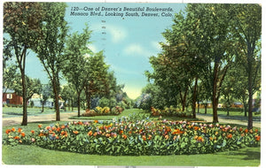 One of Denver's Beautiful Boulevards, Monaco Blvd., Looking South, Denver, CO - Carey's Emporium