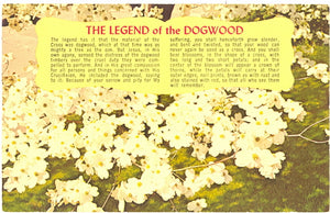 The Legend of the Dogwood - Carey's Emporium