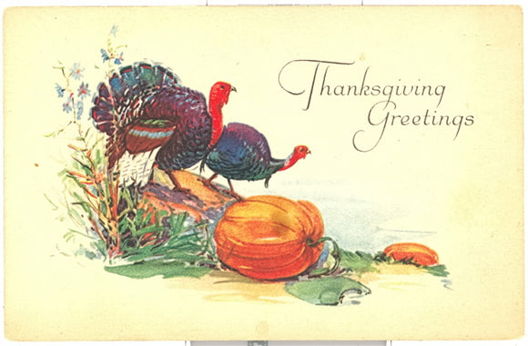 Thanksgiving Greetings - Carey's Emporium