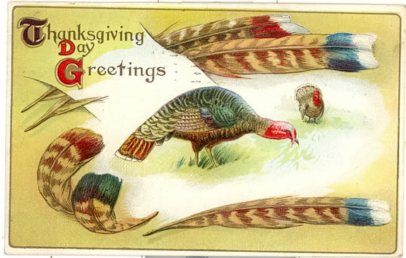 Thanksgiving Day Greetings - Carey's Emporium