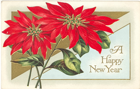 A Happy New Year - Carey's Emporium