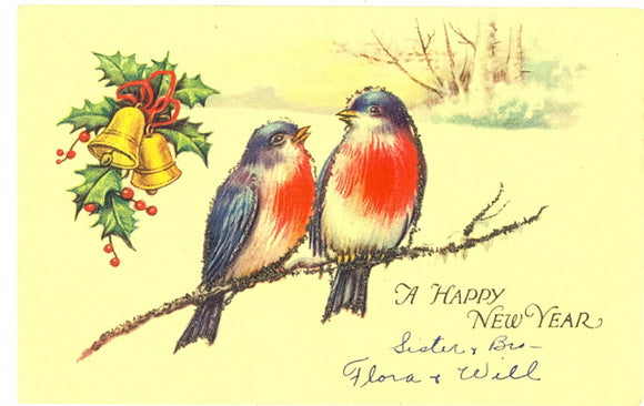 A Happy New Year - Carey's Emporium