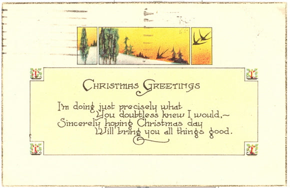 Christmas Greetings - Carey's Emporium