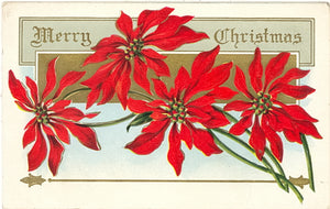 Merry Christmas - Carey's Emporium