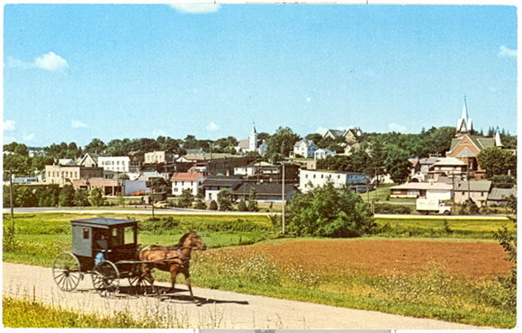 Amish Buggy at New Glarus, WI - Carey's Emporium