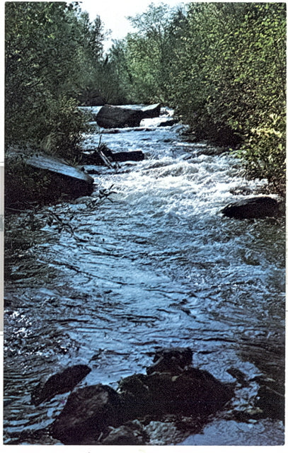 Evergreen River, Neopit, WI - Carey's Emporium