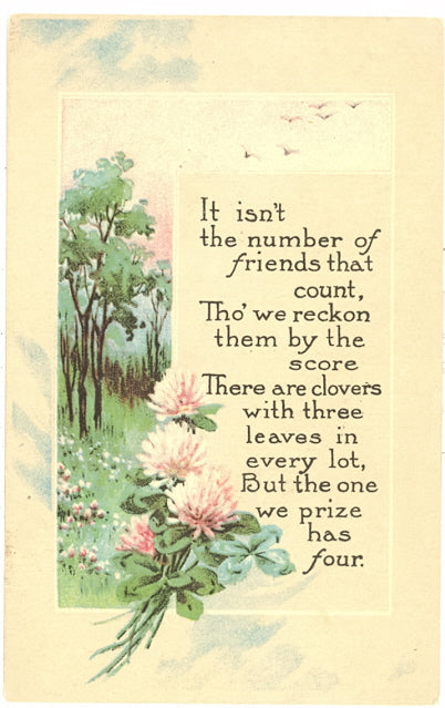 It Isn't The Number Of Friends That Count - Carey's Emporium