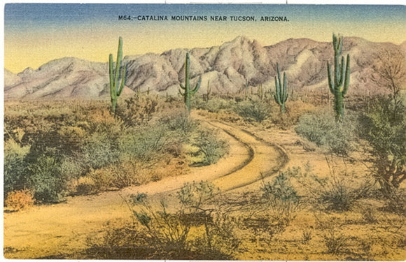 Catalina Mountains Near Tucson, AZ - Carey's Emporium