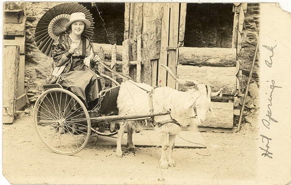 Girl in Goat Cart, Hot Springs National Park - Carey's Emporium