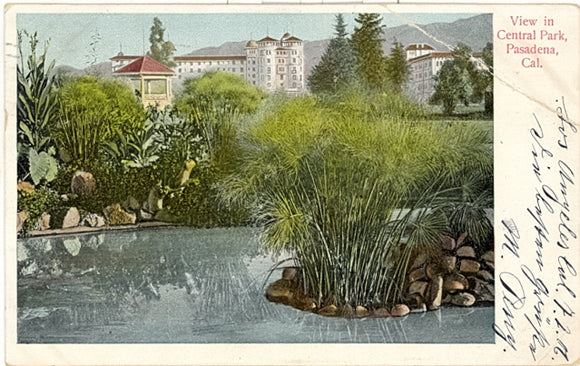 View in Central Park, Pasadena, CA - Carey's Emporium