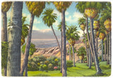 Desert Scenes of California, Souvenir Folder - Carey's Emporium