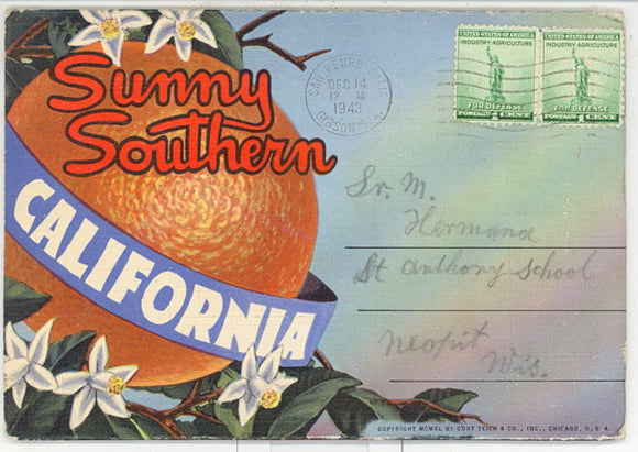 Sunny Southern California Souvenir Folder - Carey's Emporium