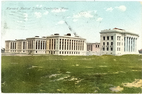 Harvard Medical School, Cambridge, MA - Carey's Emporium