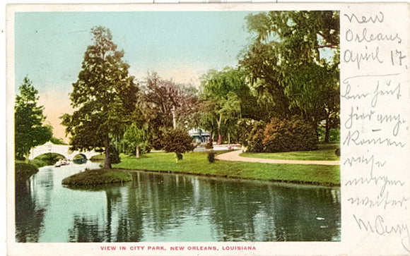 View in City Park, New Orleans, LA - Carey's Emporium