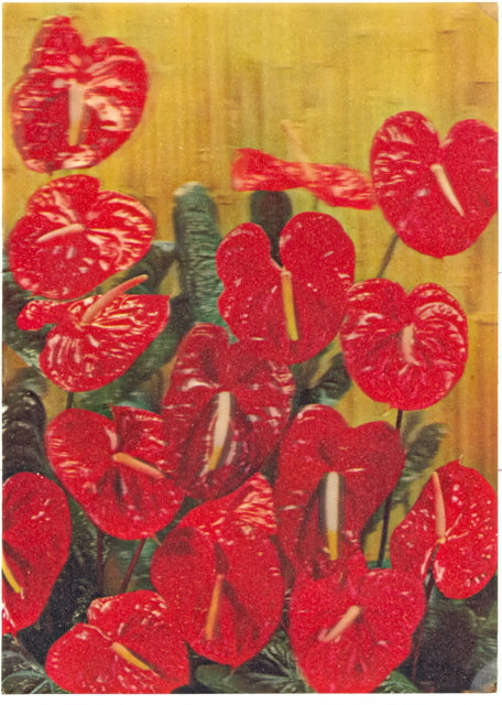 3-D Flowers - Carey's Emporium