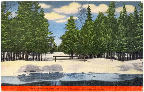 Deep Snow on Springs Park Grounds, Manistique, MI - Carey's Emporium