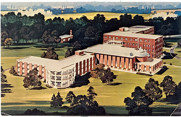 St. Joseph Province, Stevens Point, WI - Carey's Emporium