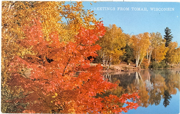 Greetings from Tomah, WI - Carey's Emporium