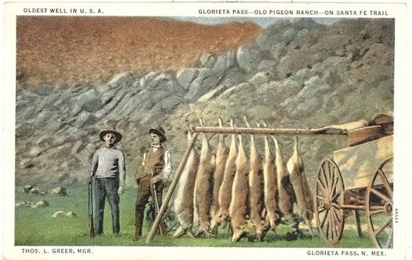 Nice Antelope, Glorieta Pass, NM - Carey's Emporium