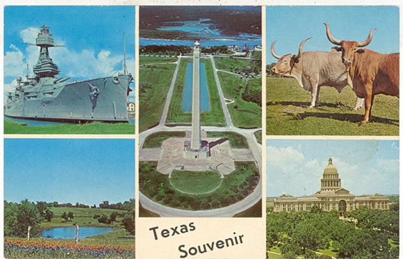 Texas Souvenir - Carey's Emporium