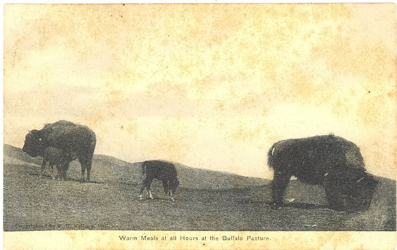 Warm Meals at all Hours at the Buffalo Pasture, Fort Pierre, SD - Carey's Emporium