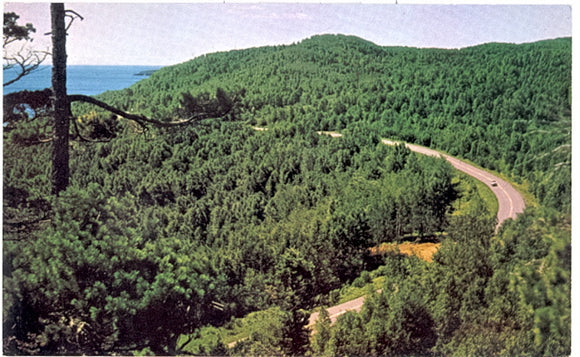 Winding Road, Lutzen, MN - Carey's Emporium