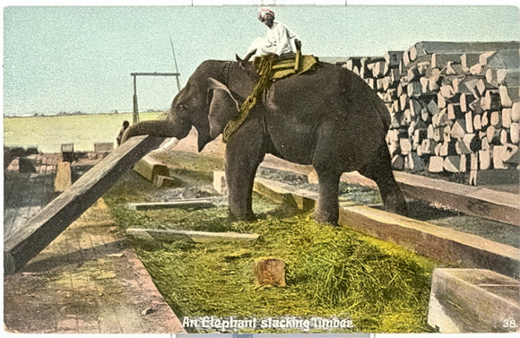 An Elephant Stacking Timber - Carey's Emporium
